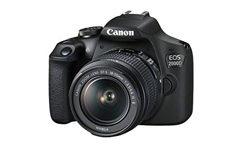 canon camera for magic mirror