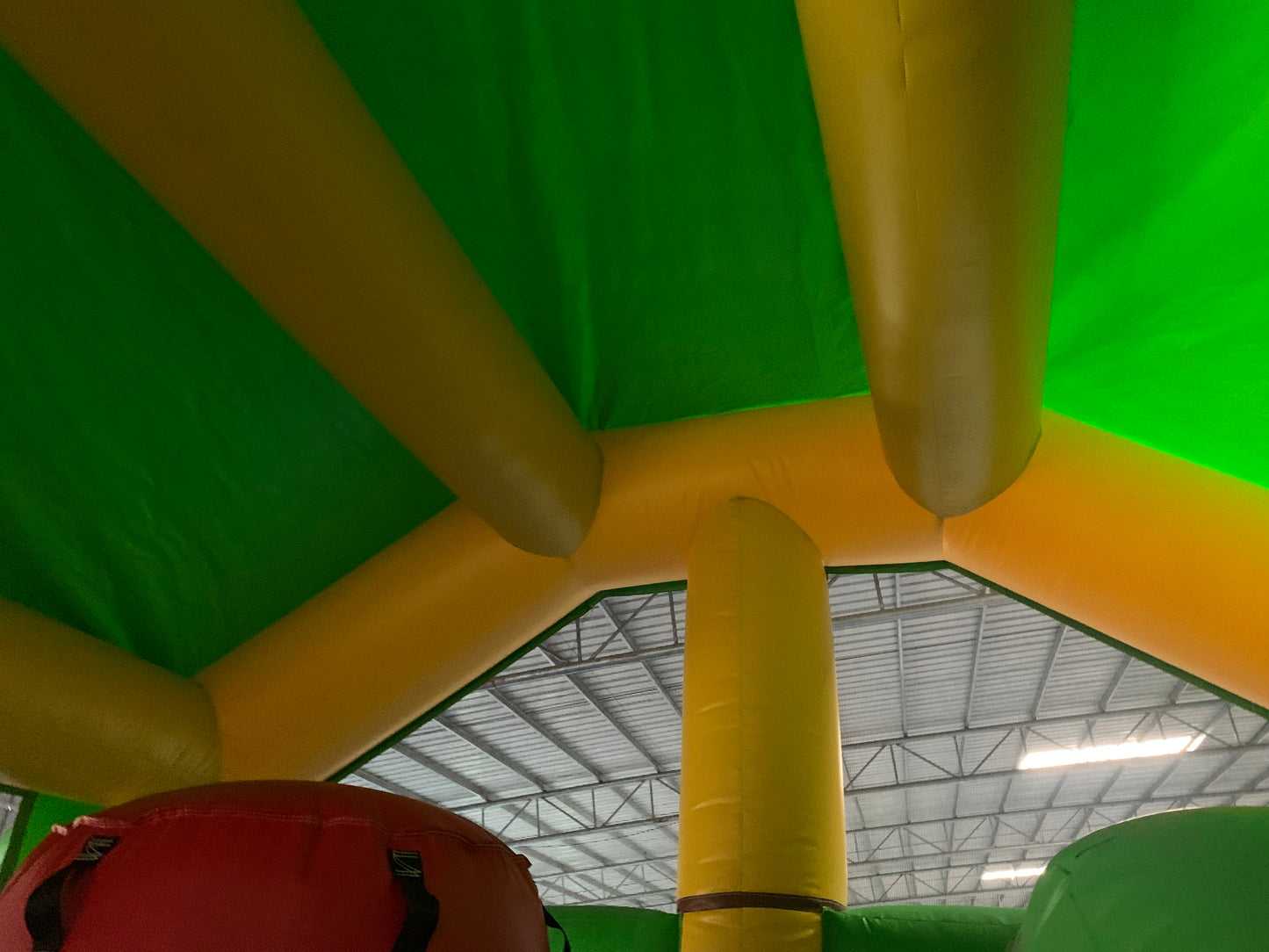 Colourful inflatable bounce house, reptile themed in an indoor setting
