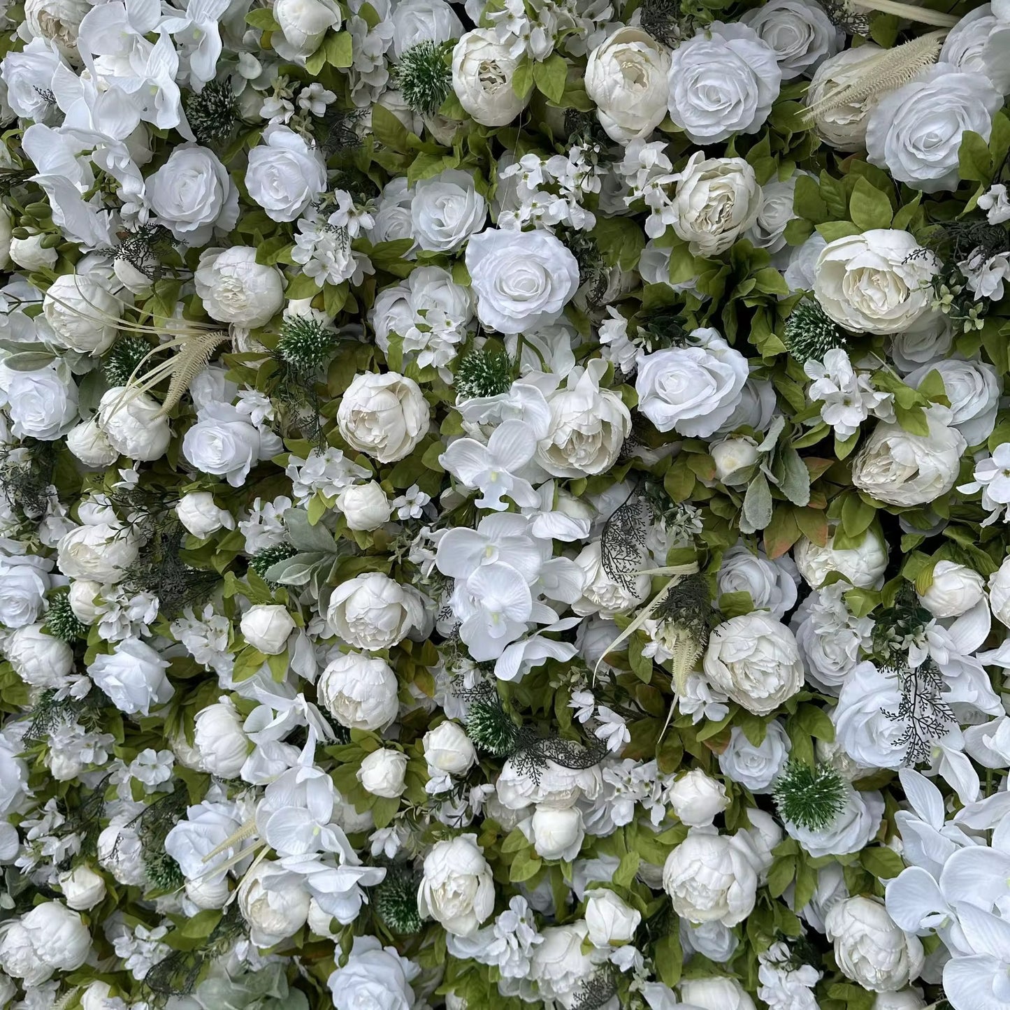 Flower Wall Backdrops & Frames