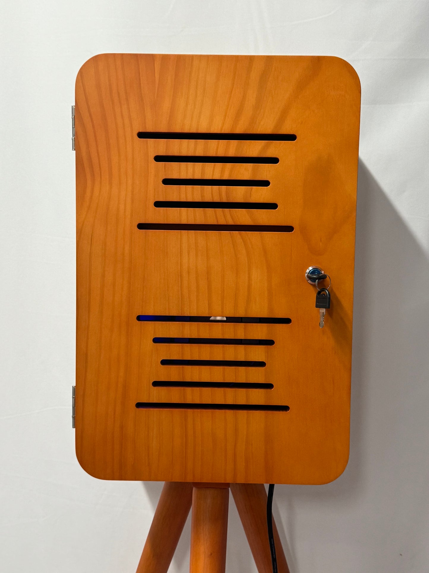 Vintage iPad DSLR Selfie Pod Photobooth