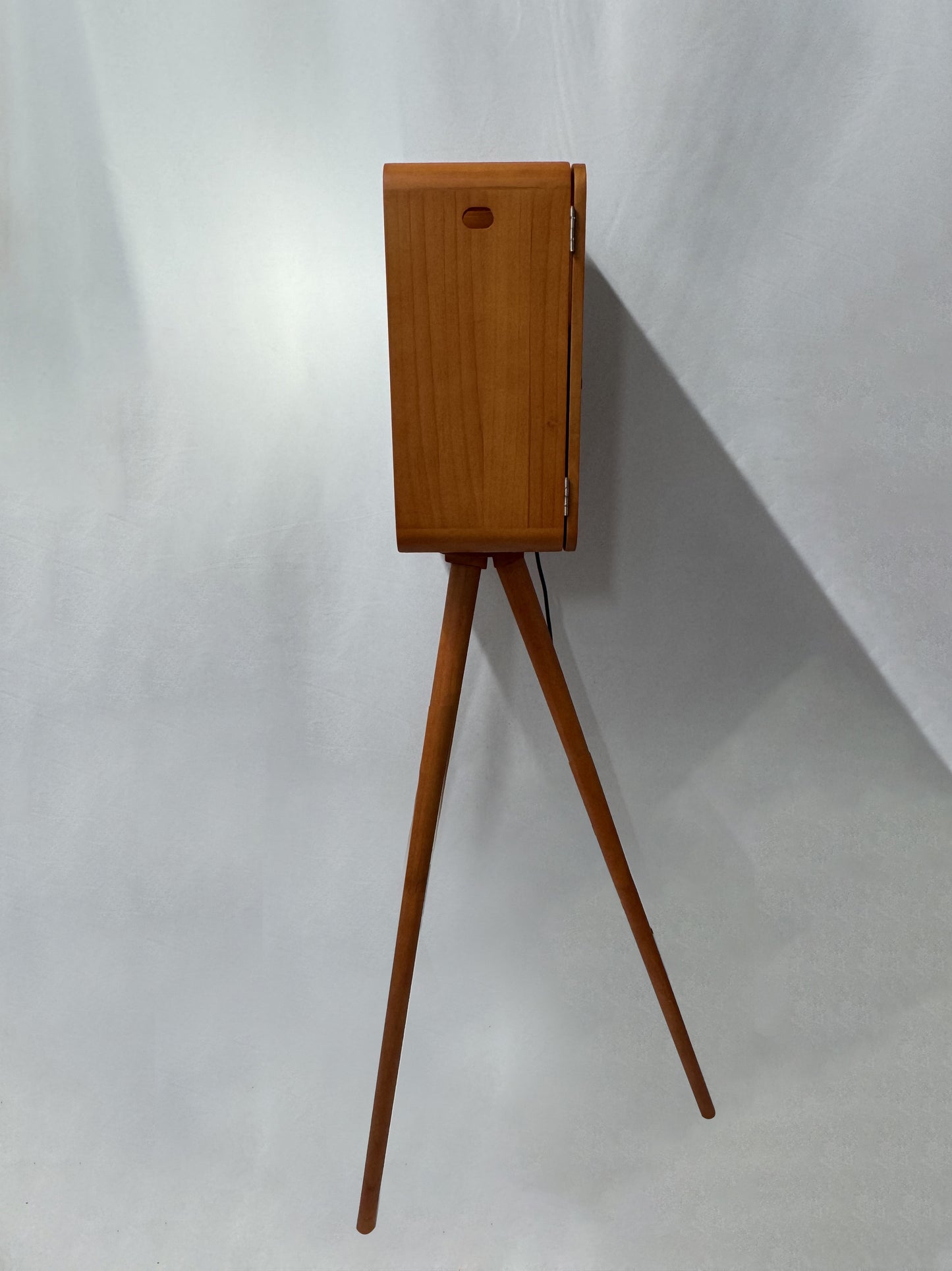 Vintage iPad DSLR Selfie Pod Photobooth