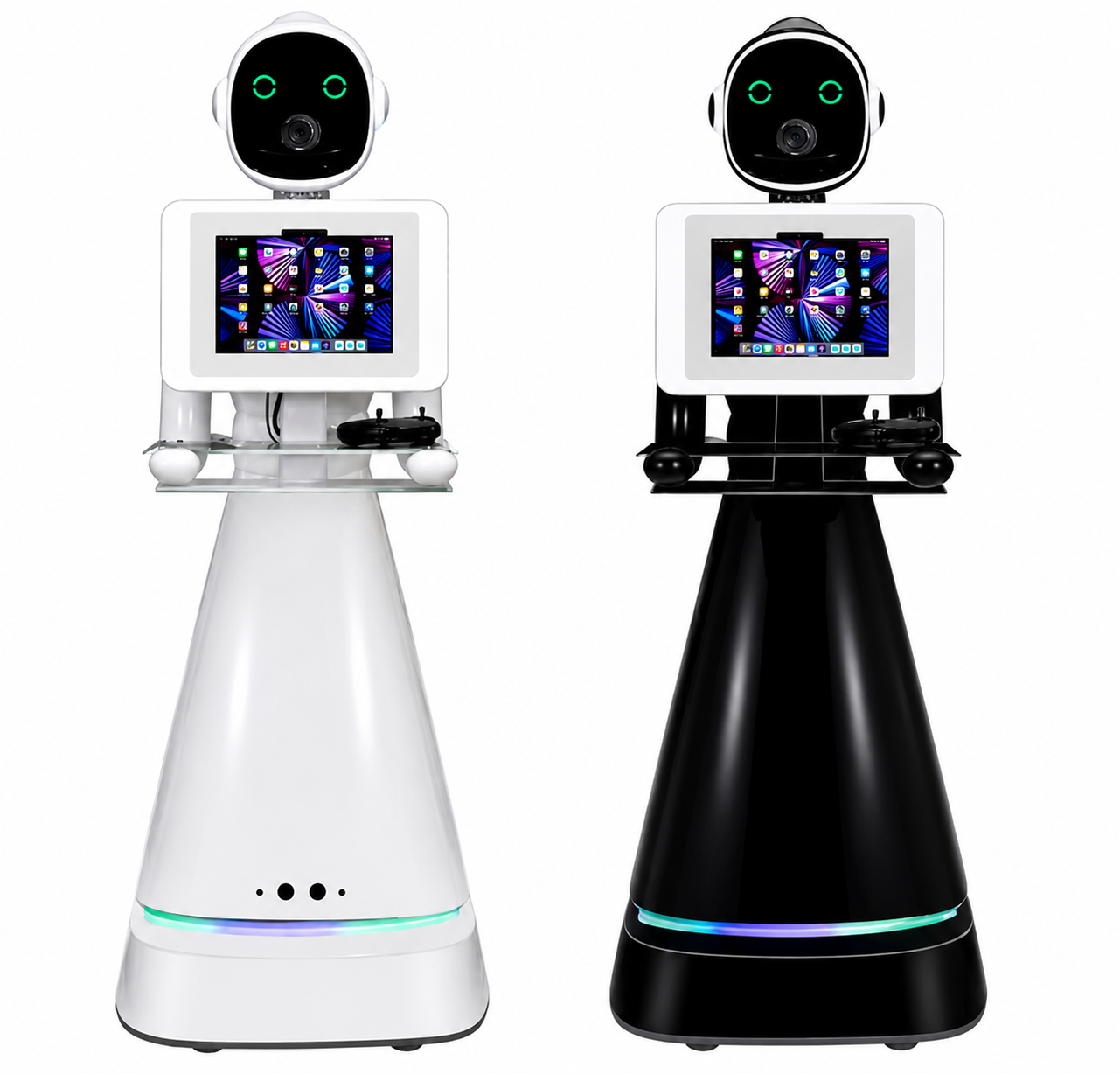 Magnificent Roaming Robot DSLR iPad Photobooth