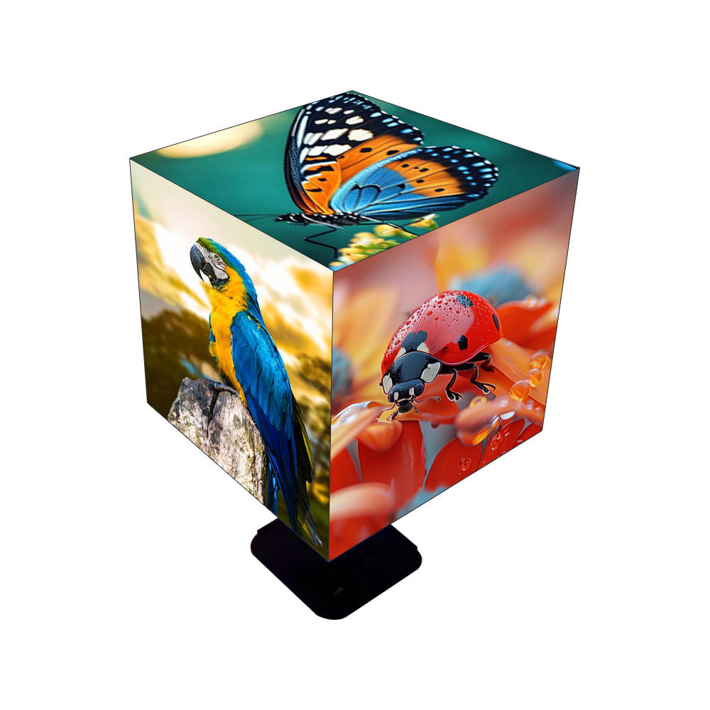 LED display cube with nature-themed design featuring a parrot, butterfly, and ladybug on each face.